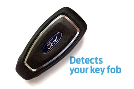 detection system